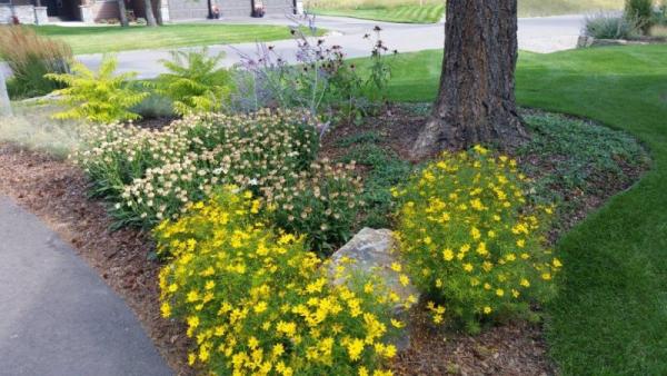 B's Montana Gardens