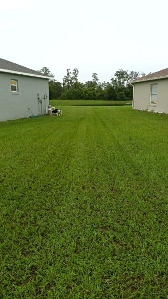 Cut4les Lawn Care