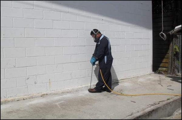 Mitchell Pest Services