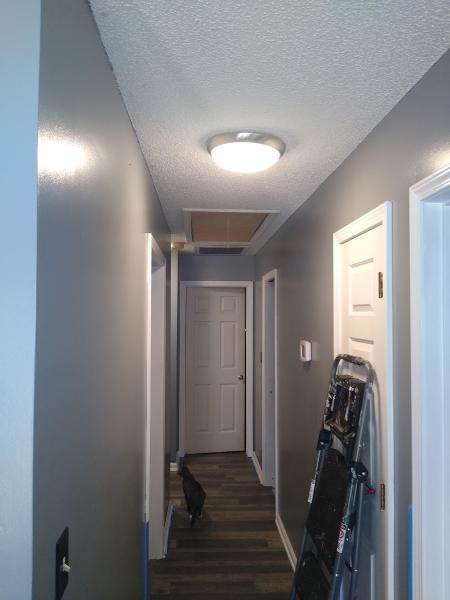 Davie Property Restoration
