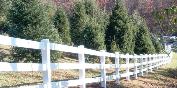 Proline Fence