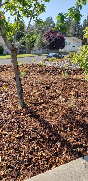 Master Gardener Foundation Spokane County