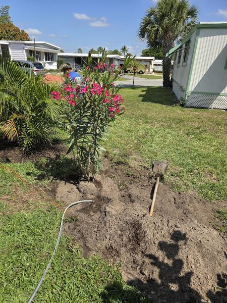 Big Boss Landscaping & Paver Restoration