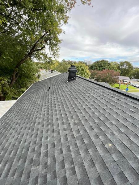 Alondra Roofing