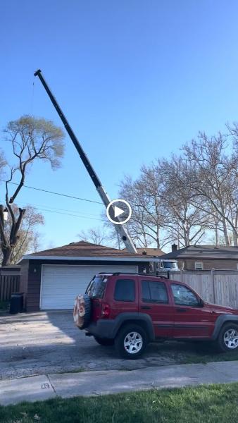 Pro Tree Service