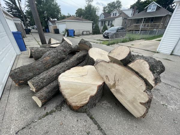 Pro Tree Service