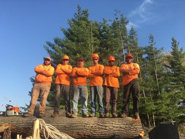 Gabriel's Landscape & Tree Services