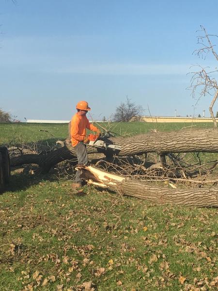 Gabriel's Landscape & Tree Services