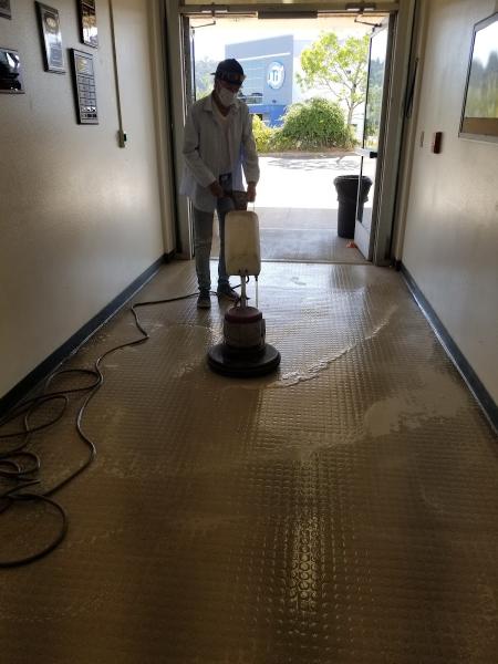 Lily's Commercial Cleaning Services