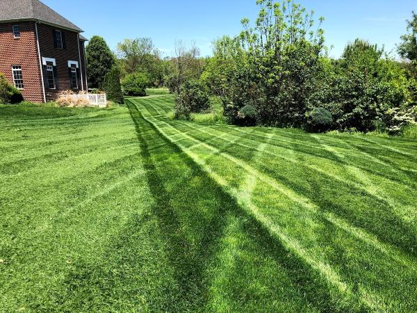 Neatscape Landscaping LLC