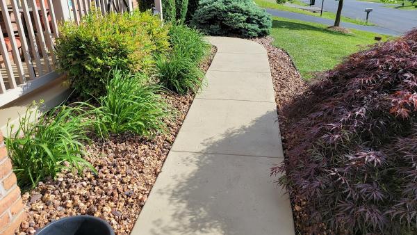 Neatscape Landscaping LLC