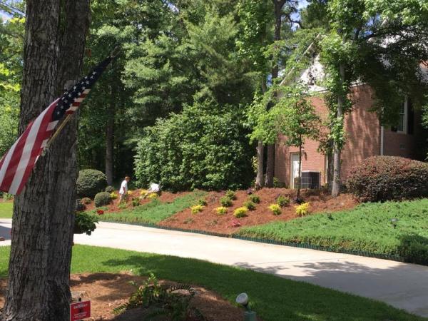 Southern Eco Scapes