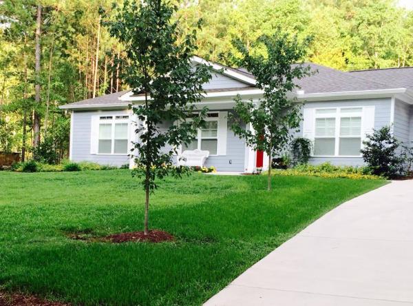 Southern Eco Scapes