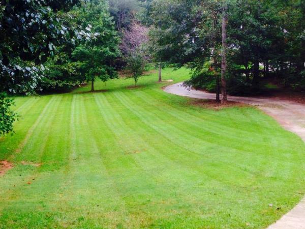 Southern Eco Scapes
