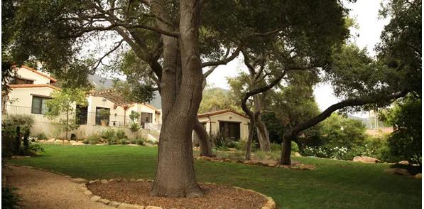 Perez Landscaping