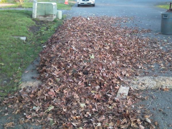 Sparkys Landscaping LLC