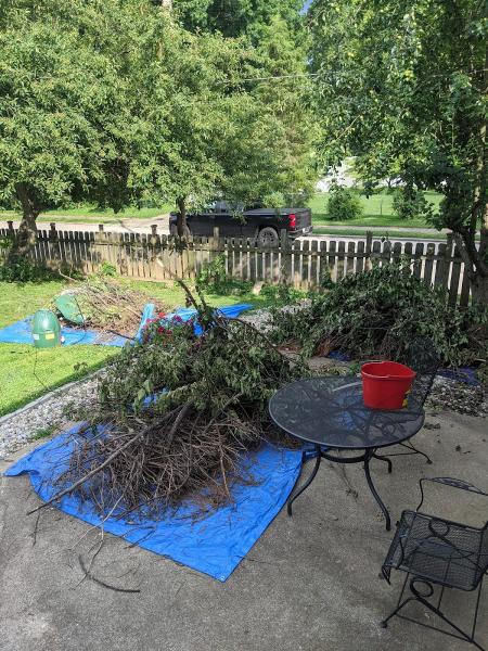 Joe's Hauling & Property Clean
