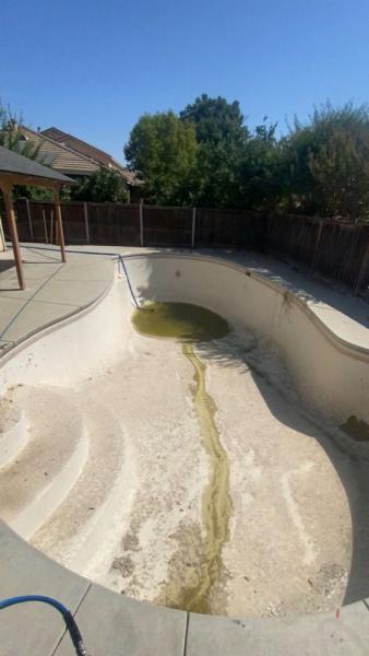 Coconut Pool Care