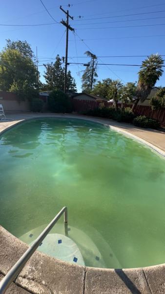 Coconut Pool Care