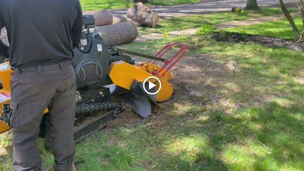 Mohr Tree Service