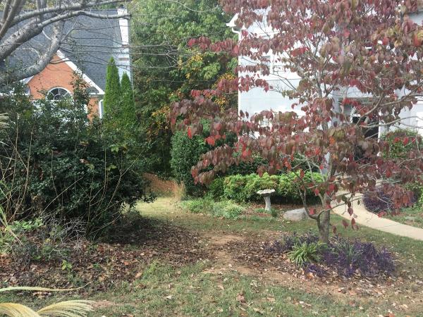 Eagle. Landscape Maintenance