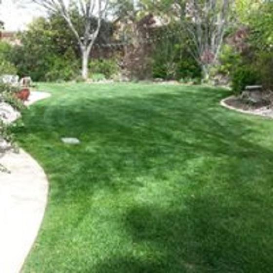 Monster Mowers Lawn Care