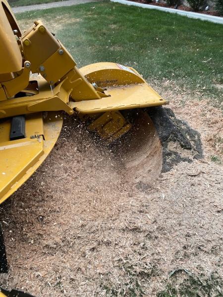 Stump Demolition and Land Clearing
