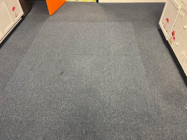 Spotlezz Carpet Cleaning