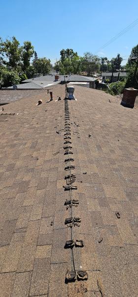 Reflex Roofing