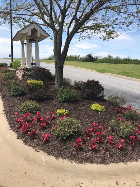 Pinto's Lawn Care & Landscaping