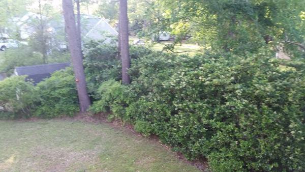 Cut & Clean Lawn Care Inc.