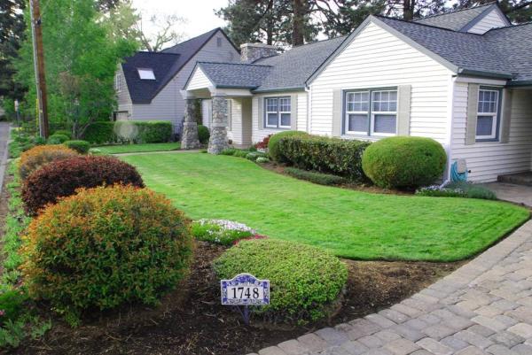 Lawn Ranger Landscaping and Lawn Maintenance