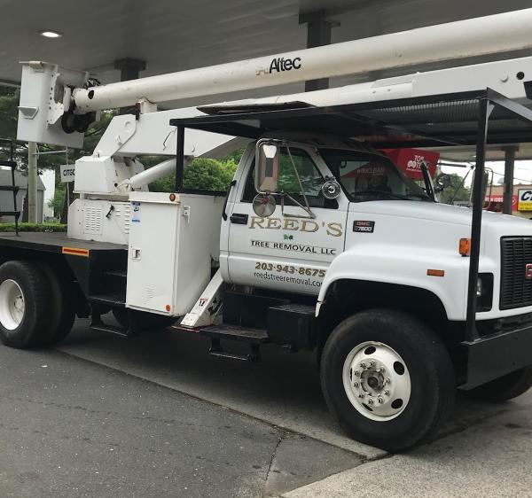 Reed's Tree Removal