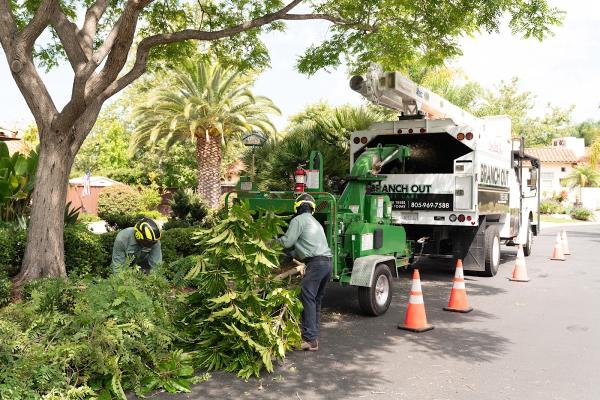 Branch Out Tree Care