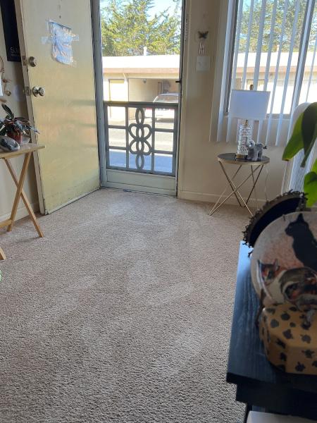 JC Spotless Carpet Cleaning