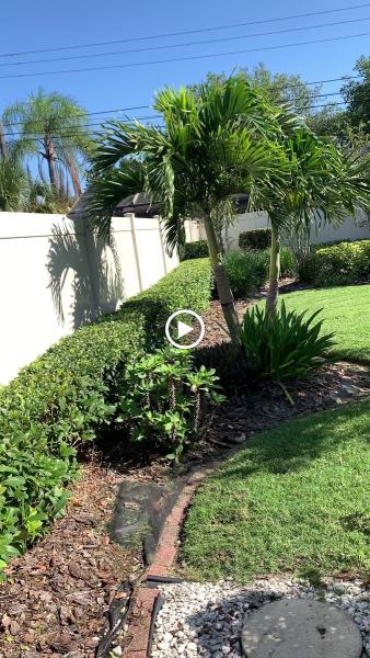 Never Look Back Lawn Service
