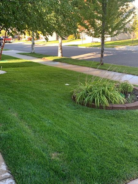 Sprinkler Maniac