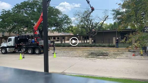 Bofinger's Tree Service