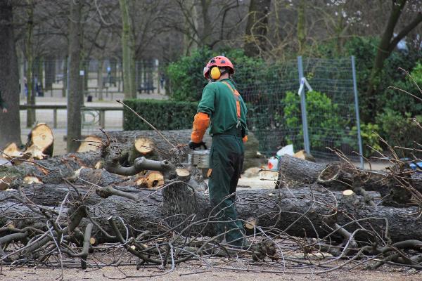 Highland Tree Services