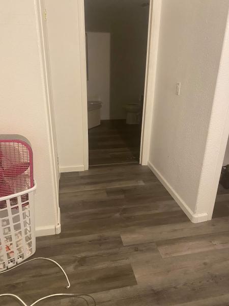 Dani Kelley Renovations