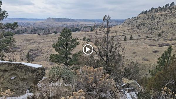 Billings Exteriors