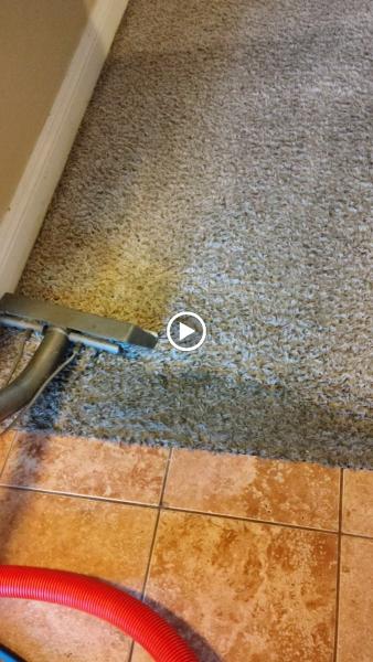 Infinity Carpet Care