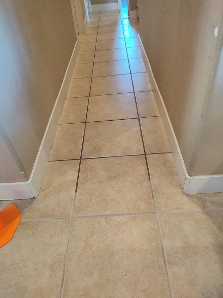 Infinity Carpet Care