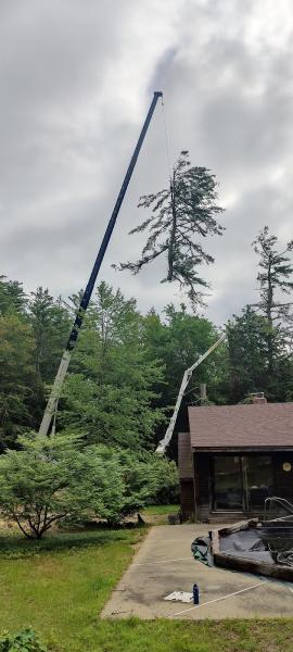 Dubois Tree Service