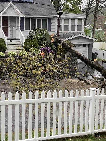 Dubois Tree Service