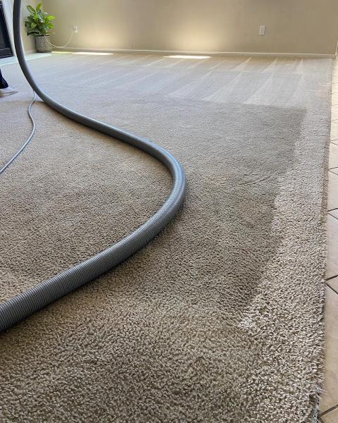 Petrichor Carpet & Tile Cleaning