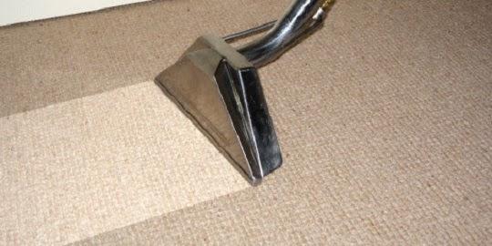 Carpet Max