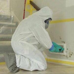 Canton Mold Inspection