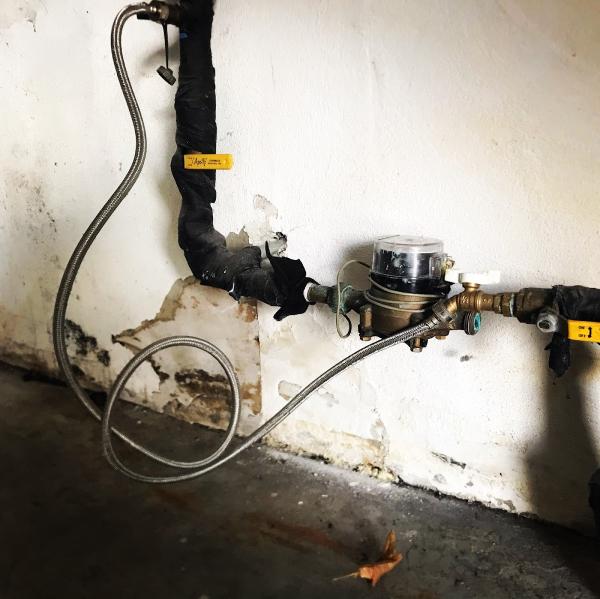 Elite Home & Mold Inspections
