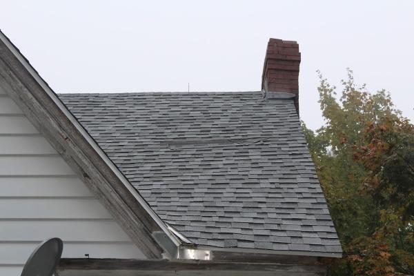Elite Home & Mold Inspections